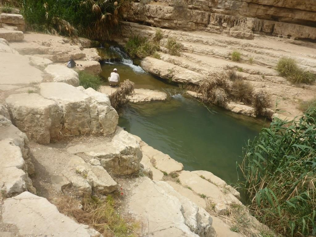 The stream in the middle of the desert