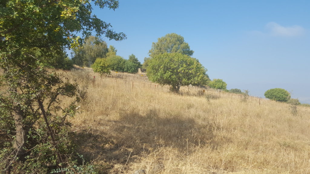 Tel Faher covered with landmines from the North