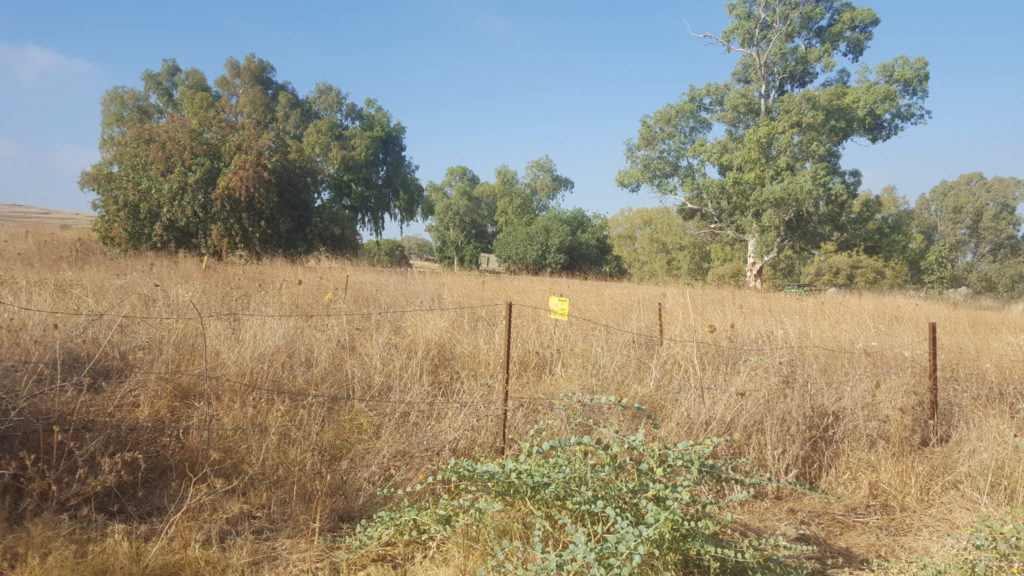 Tel Faher covered with landmines from the North