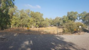 Minefields in the entrance to the site