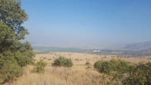 Northern Hula valley