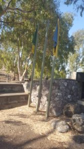 Golani Brigade flags