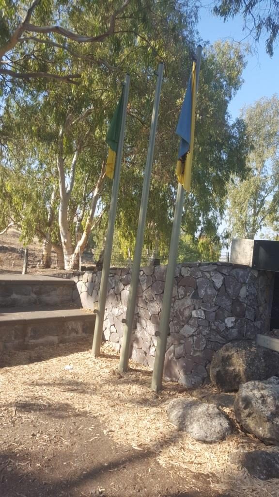 Golani Brigade flags