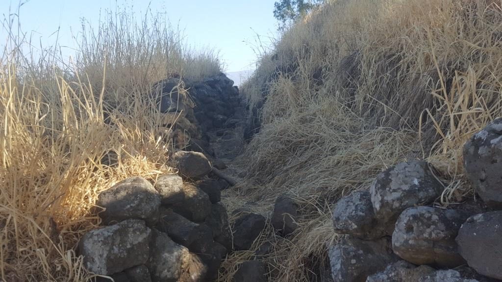 The fight tunnels and bunkers