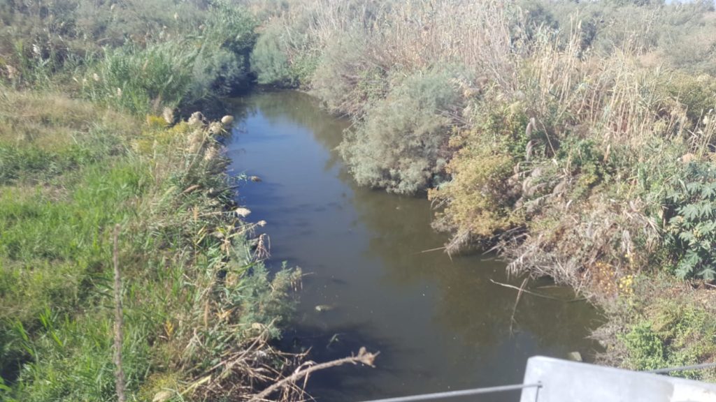 Nahal Ada ("Ada Stream") going through the dam and joining here to Nahal Taninim