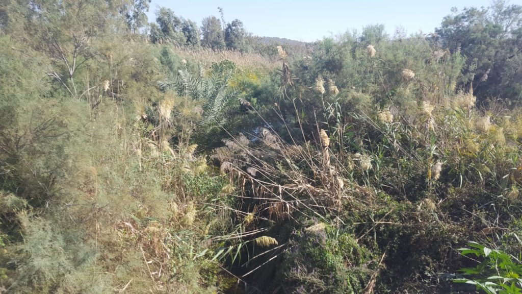 Nahal Ada ("Ada Stream") going through the dam and joining here to Nahal Taninim