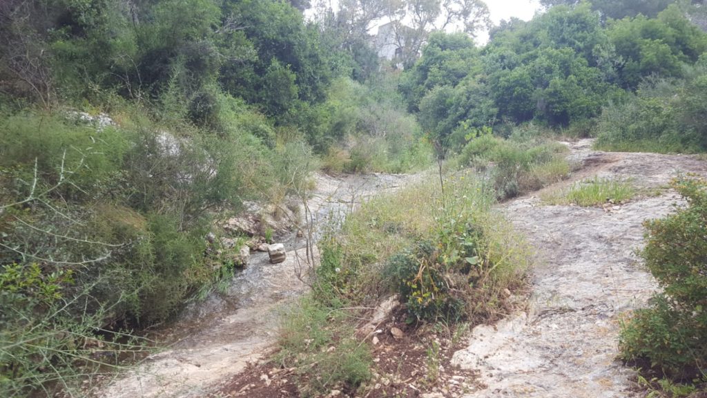 And there are water in the stream - Wadi Siah