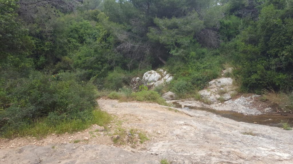 And there are water in the stream - Wadi Siah