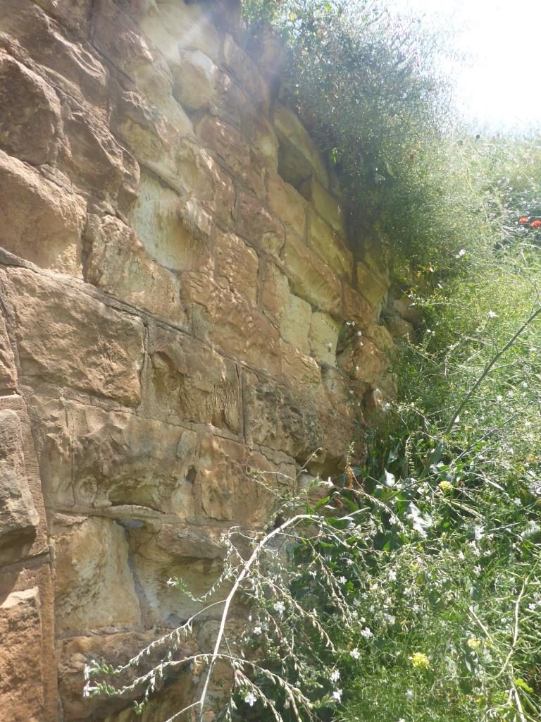 The walls on the entrance to the other side of the railway tunnel - The Hejaz railway tunnel