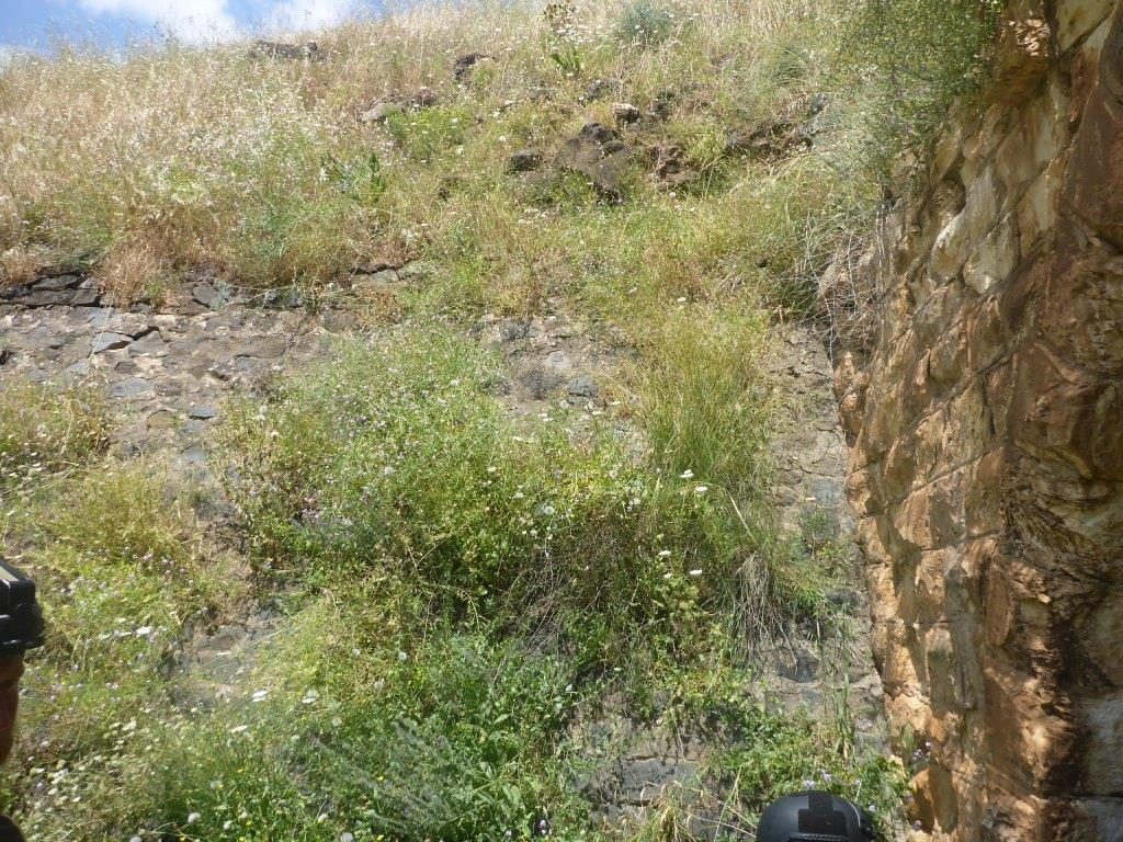 The walls on the entrance to the other side of the railway tunnel - The Hejaz railway tunnel