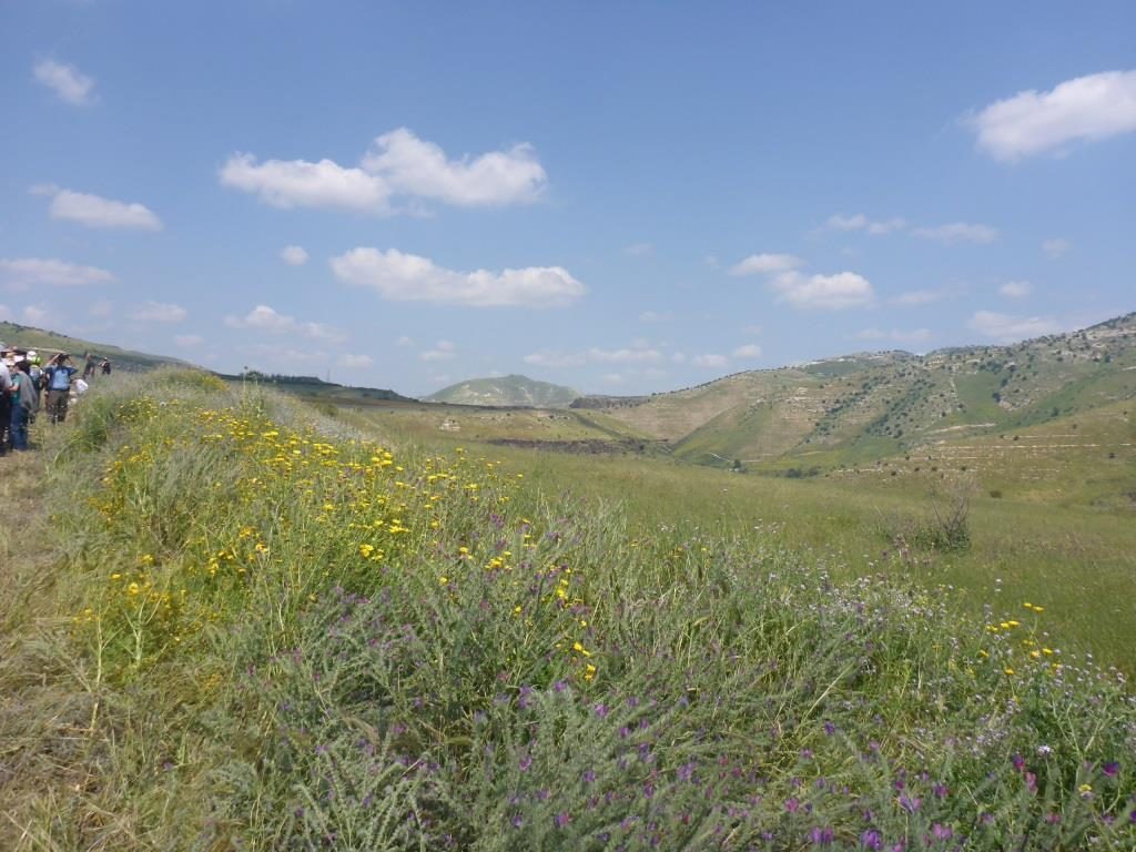 Just a little bit more flowers - The Hejaz railway tunnel