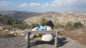 Ma'ale HaHamisha Dairy farm - with Tel Kfira at the background