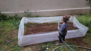 The garden in our former house. It was not clear enough to the gardener what is it. - vegetables garden