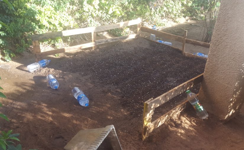 Our small vegetables garden