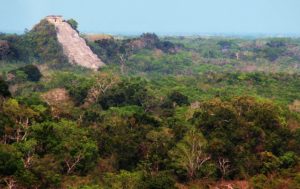 A Maya Pyramid in Coba, covered by the jungle - Coronavirus apocalypse