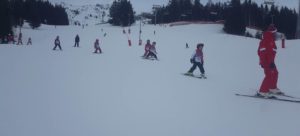 Mother goose and the goosling following here - school ski