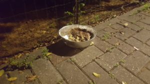 Half a cake on the street, in the Pre-Coronavirus times I would have take a piece - hygiene