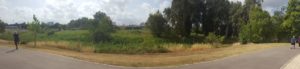 Looking on the new curve of the Yarkon river from North - Ten Mills