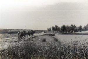 The site and the Yarkon river in a picture from 1930s' (source: TLV100.net) - Ten Mills