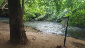 The lower Banias stream - one 3 streams creating the Jordan river