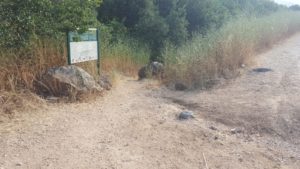 The entrance to the red hike route. This one gets closer to the water than the black route, but still keeps a distance - lower Banias stream