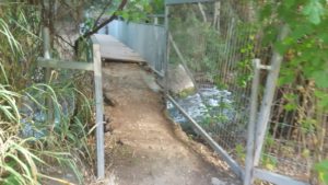 From that bridge, the trail runs on the lower Banias stream.