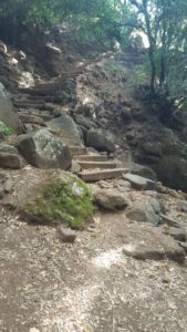 The steps going up from the tank. The creek walls are about 70 m high at that point, lower Banias stream