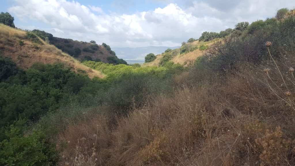 The view from the top, over the stream creek to the west - lower Banyas stream