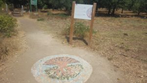 A mosaic circle at the entrance to the Park - Ein Tzur