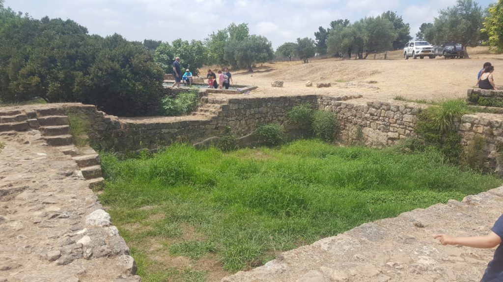 The pool, from the British Mandate time, was meant to hold the water for the above Beit Khouri