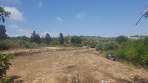 Beit Khouri far in the distance - Ein Tzur