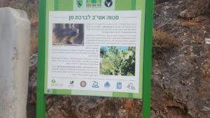 From Neve Ativ to Man Pool - Welcome to the trail, for approval call 04-6966207. The trail is 8km, for moderate to practiced hikers. Man Pool