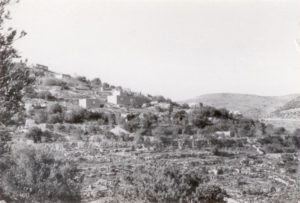 A picture on the Sataf village ruins on 1966 (Source: Gad Freudentha)