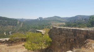 A wall from the village ruins. The big Complex building is Hadassah Ein Kerem Medical Center