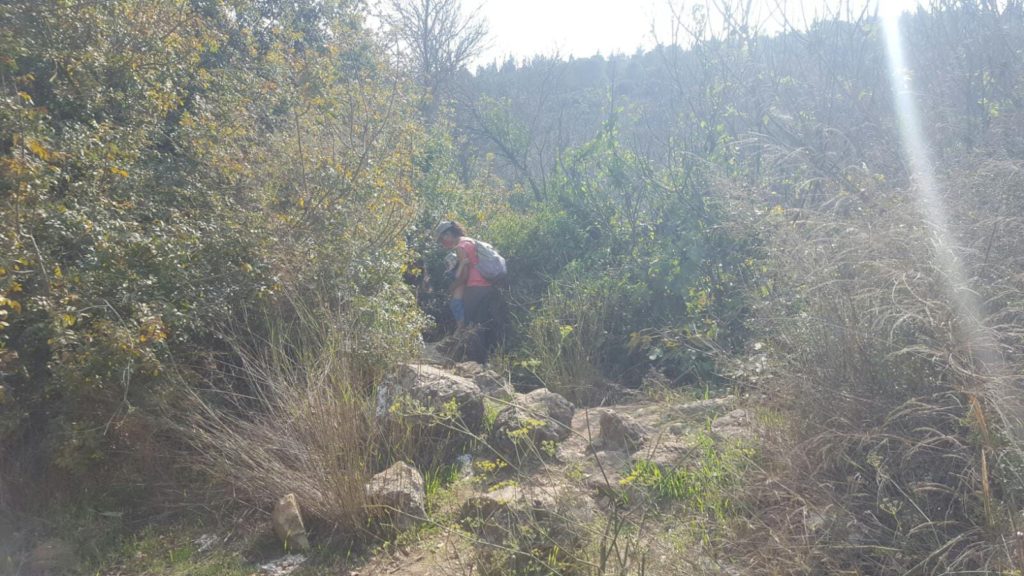 The clear hiking mark to Ein-Tanur grotto.