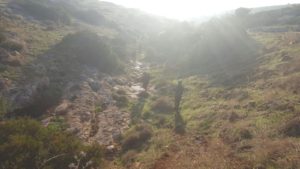 Walking in the creek below the base during the training