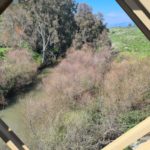 Looking on Jordan river from above it - Bnot Ya'akov