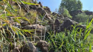 Going down to the waterfall on ladders  - Upper Zavitan stream