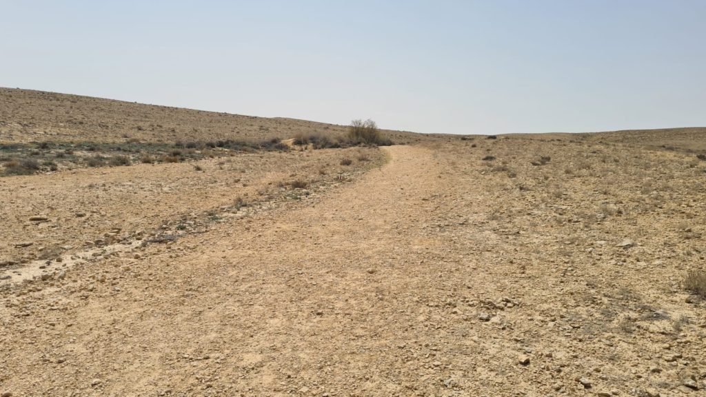 The second Cistern - Lotz Cisterns