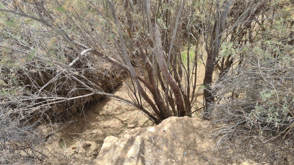 The second Cistern - Lotz Cisterns