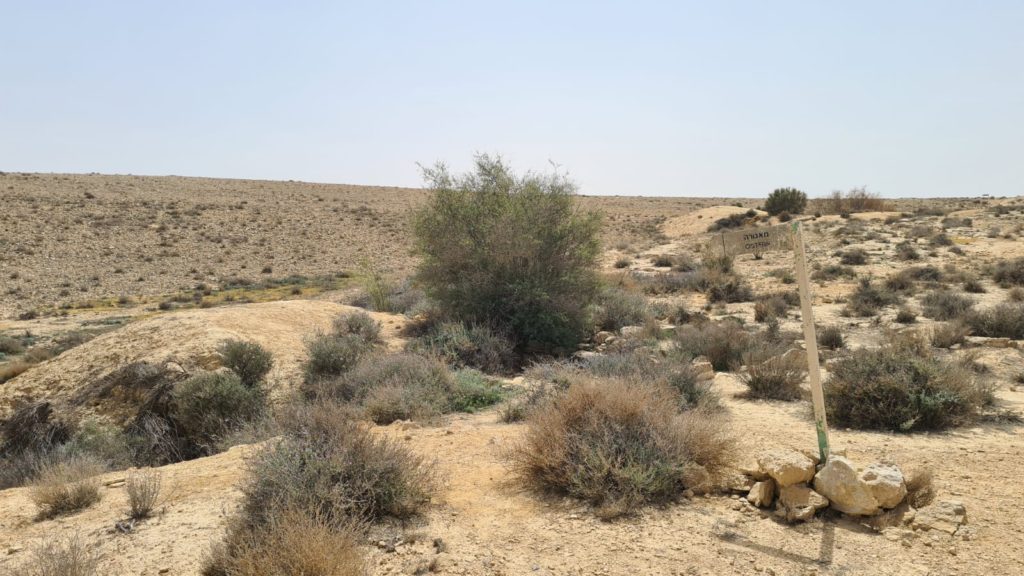 Third Cistern - Lotz Cisterns