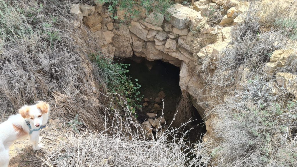 Third Cistern - Lotz Cisterns