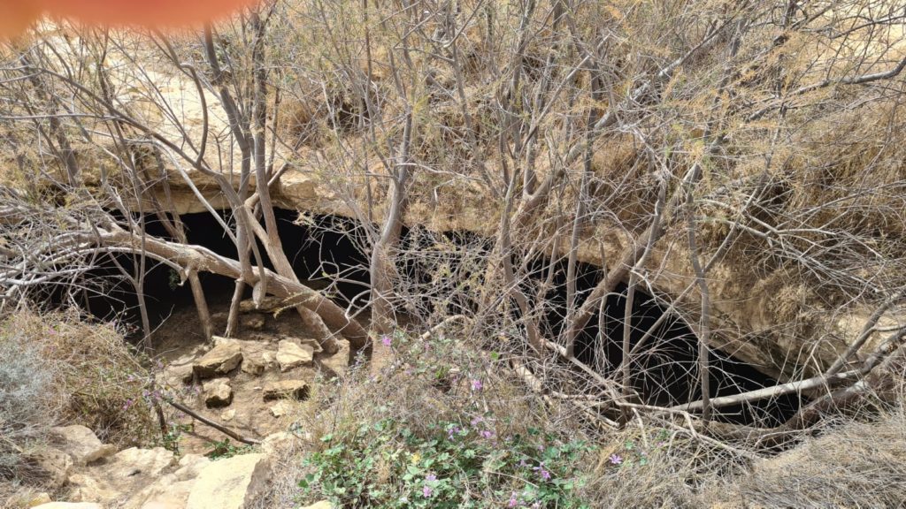 Open Cistern (5th) - Lotz Cisterns