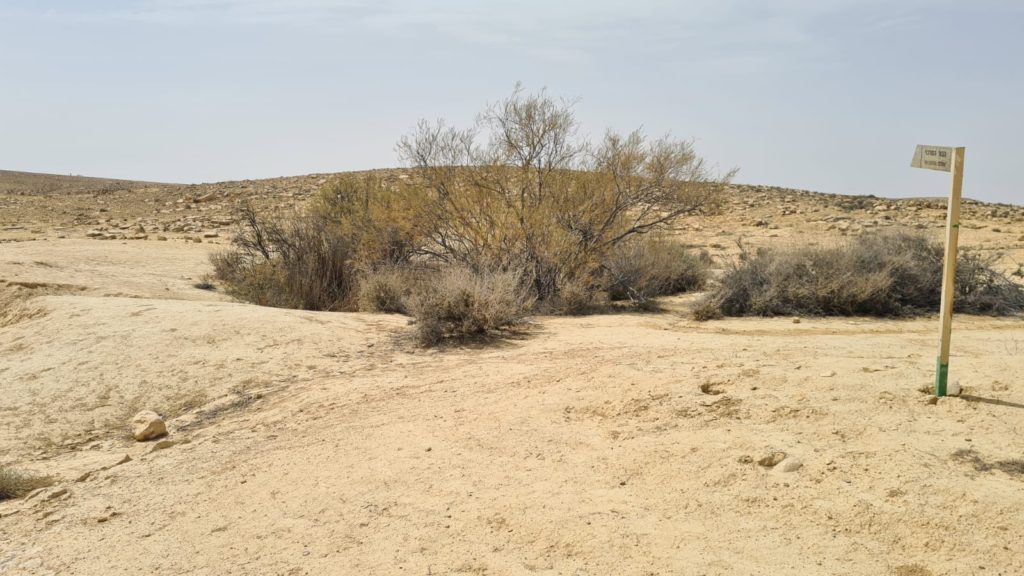 The central Cistern - Lotz Cisterns