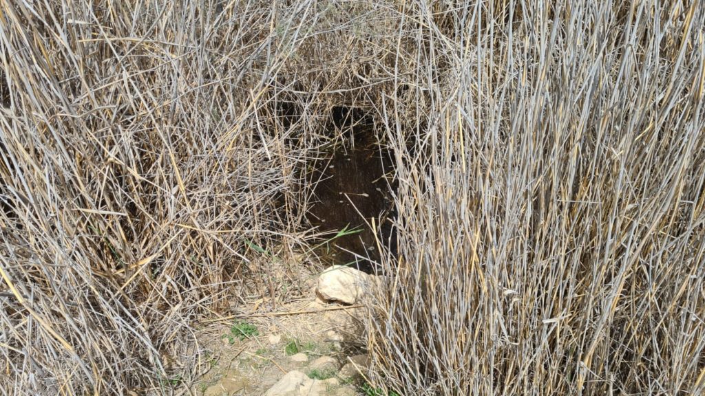 The small Cistern (8th) - Lotz Cisterns