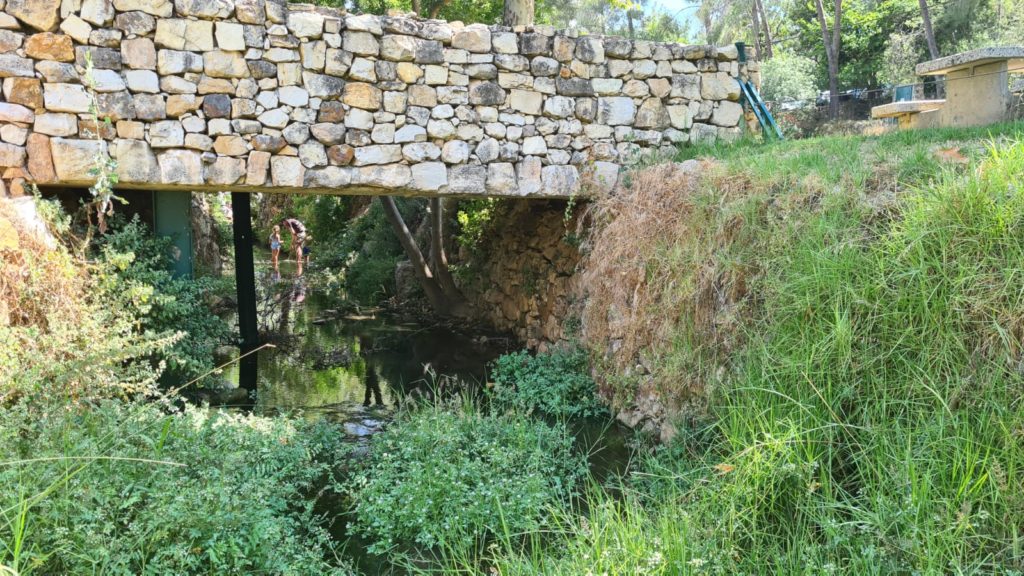 The stream goes under couple of bridges: one I enjoyed looking on it from below , and second Jannaeus crossed over. - En Hemed