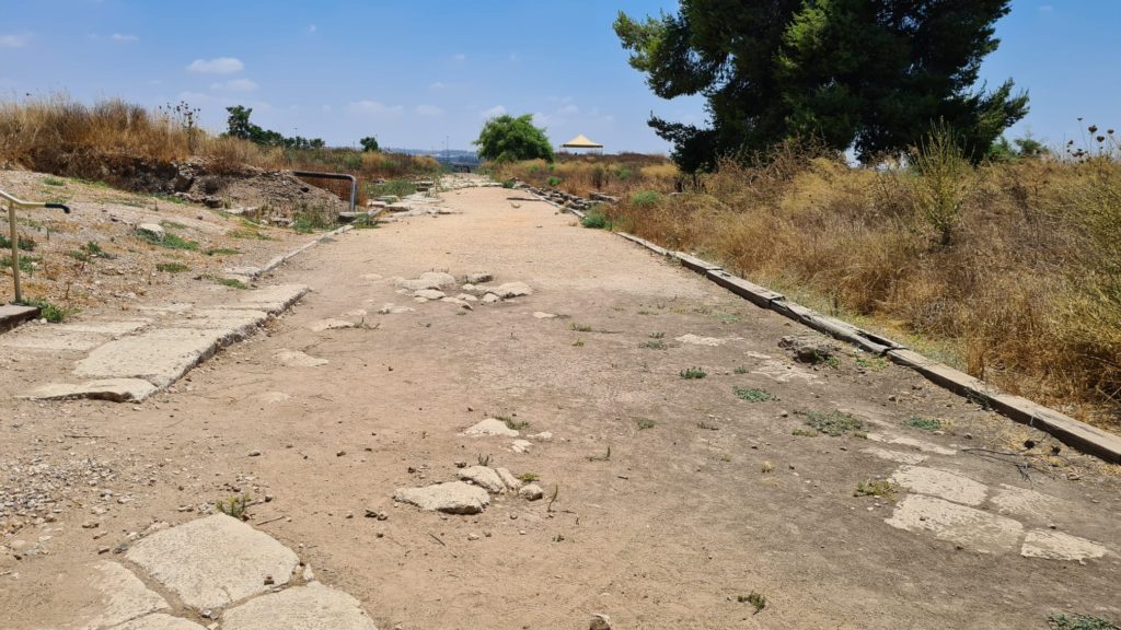 The Cardo meets the fortress, Along the Cardo and the columns heads that were found here - Tel Afek