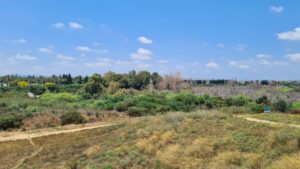 Looking west - Tel Afek