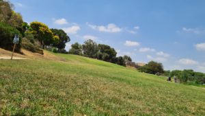 The downhill grass that hosts evening concerts - Tel Afek