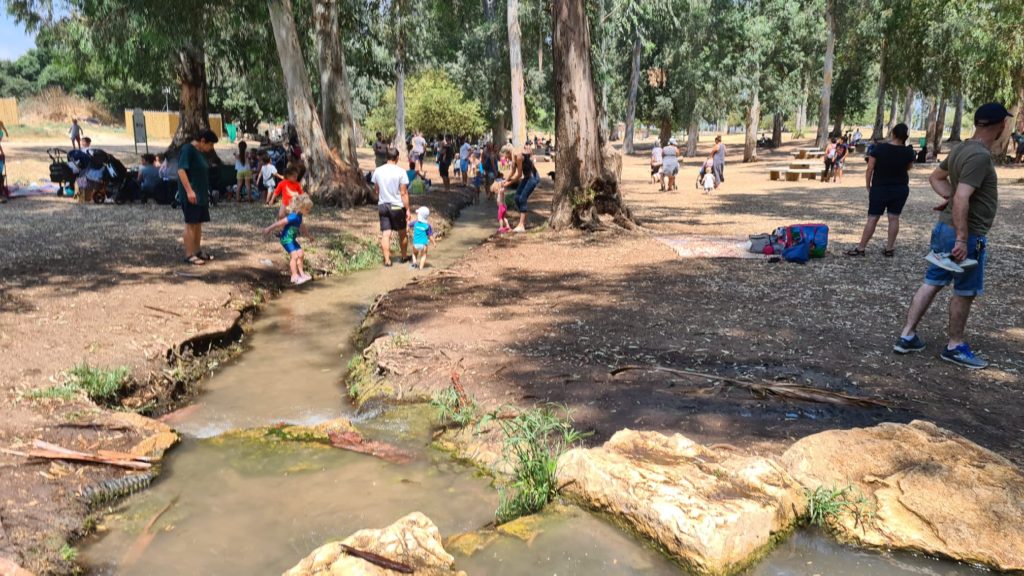 Paddling pools, walking on those for a couple of hundred meters cool us down and allow us to keep going the the rest of the site. Tel Afek